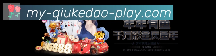 未来规划